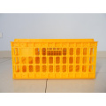 Plastic transport cage for chicken